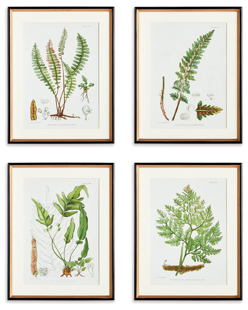 Napa Home & Garden Set Of 4 Structural Fern Study