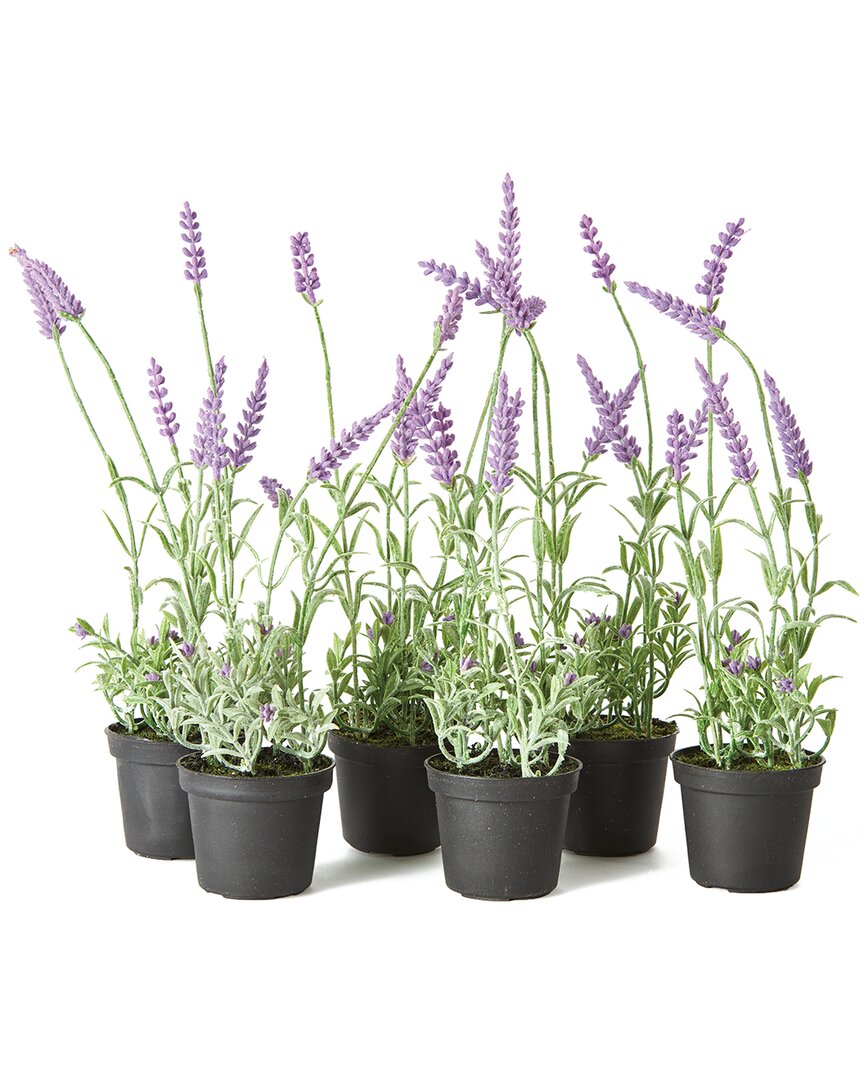 Napa Home & Garden 13in French Lavender Drop-in Set