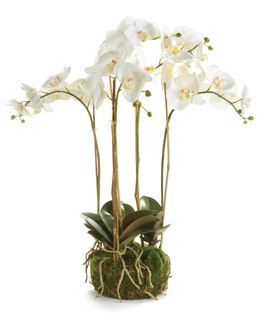 Napa Home & Garden 25in Phalaenopsis Orchid Bowl Drop-in In White