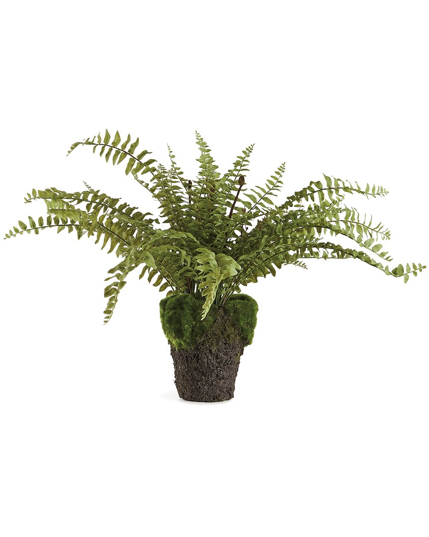 Napa Home & Garden 16in Boston Fern Drop-in In Green