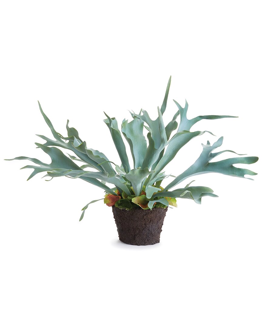 Napa Home & Garden 21in Staghorn Fern Drop-in In Green