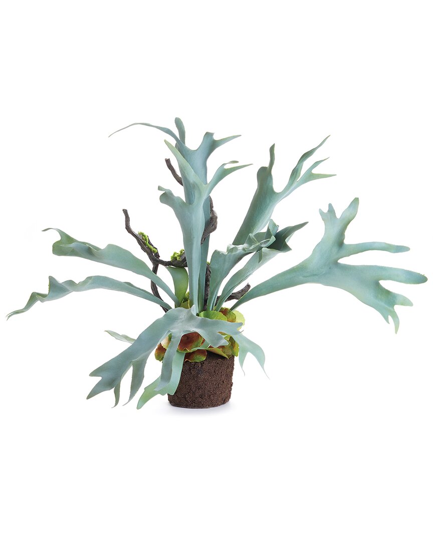 Napa Home & Garden 22in Staghorn Fern Drop-in In Green