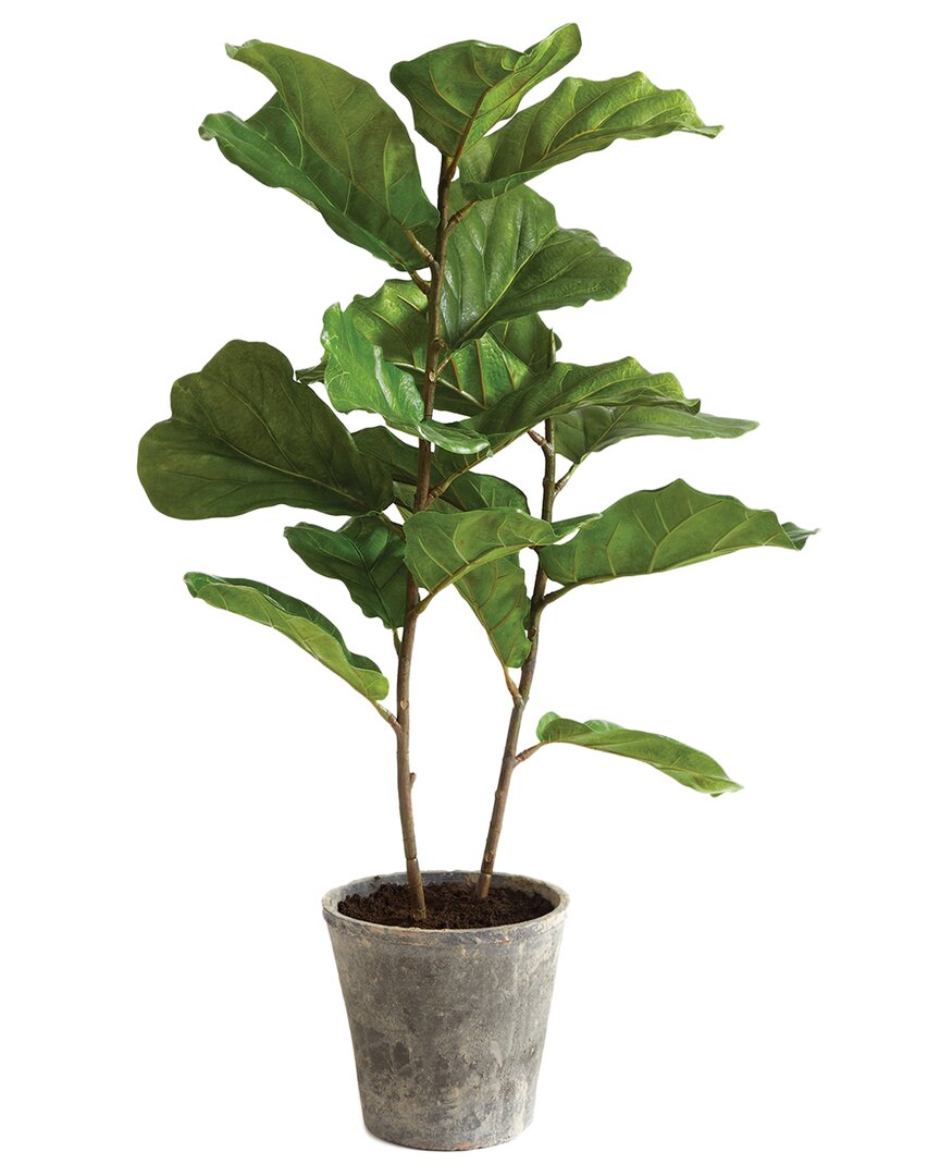 Napa Home & Garden 43in Potted Fiddle Leaf Fig In Green