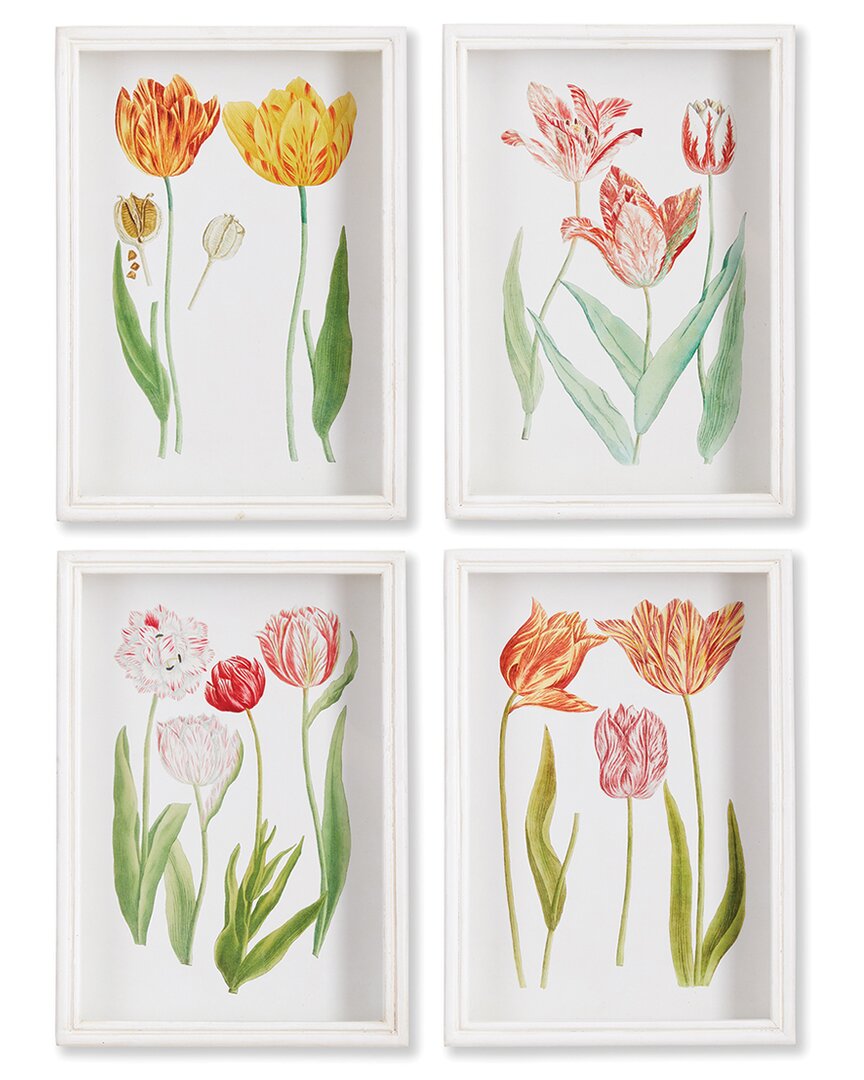 Napa Home & Garden Set Of 4 Tulip Prints