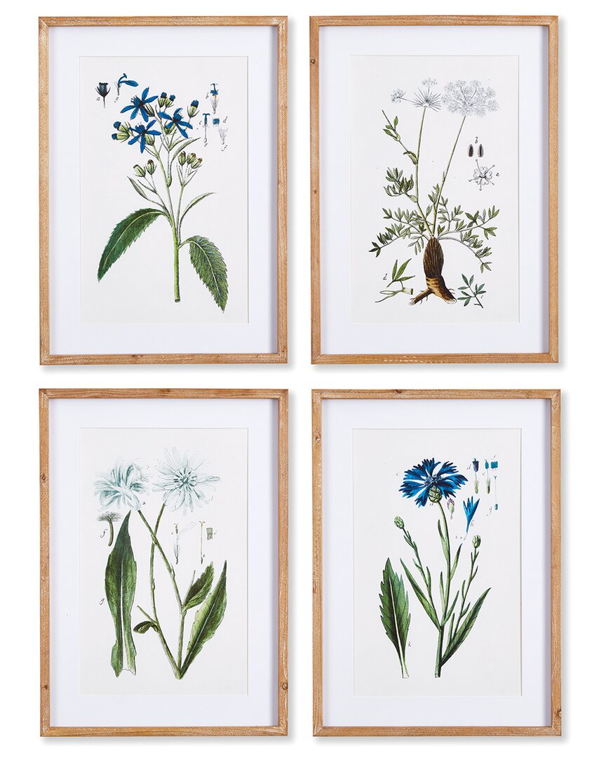 Napa Home & Garden Mountain Botanical Prints Set