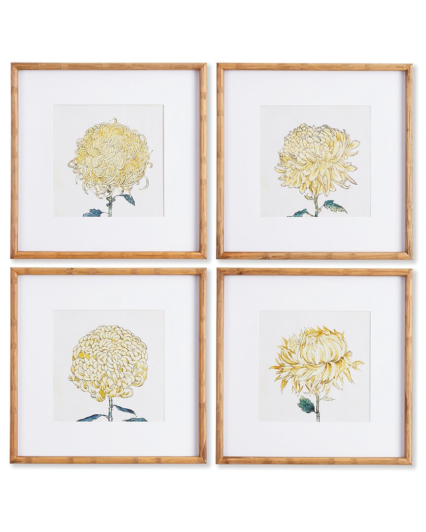 Napa Home & Garden Set Of 4 Chrysanthemum Prints