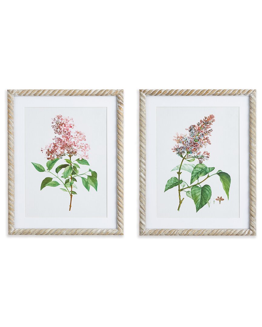 Napa Home & Garden Set Of 2 Lilac Cutting Prints
