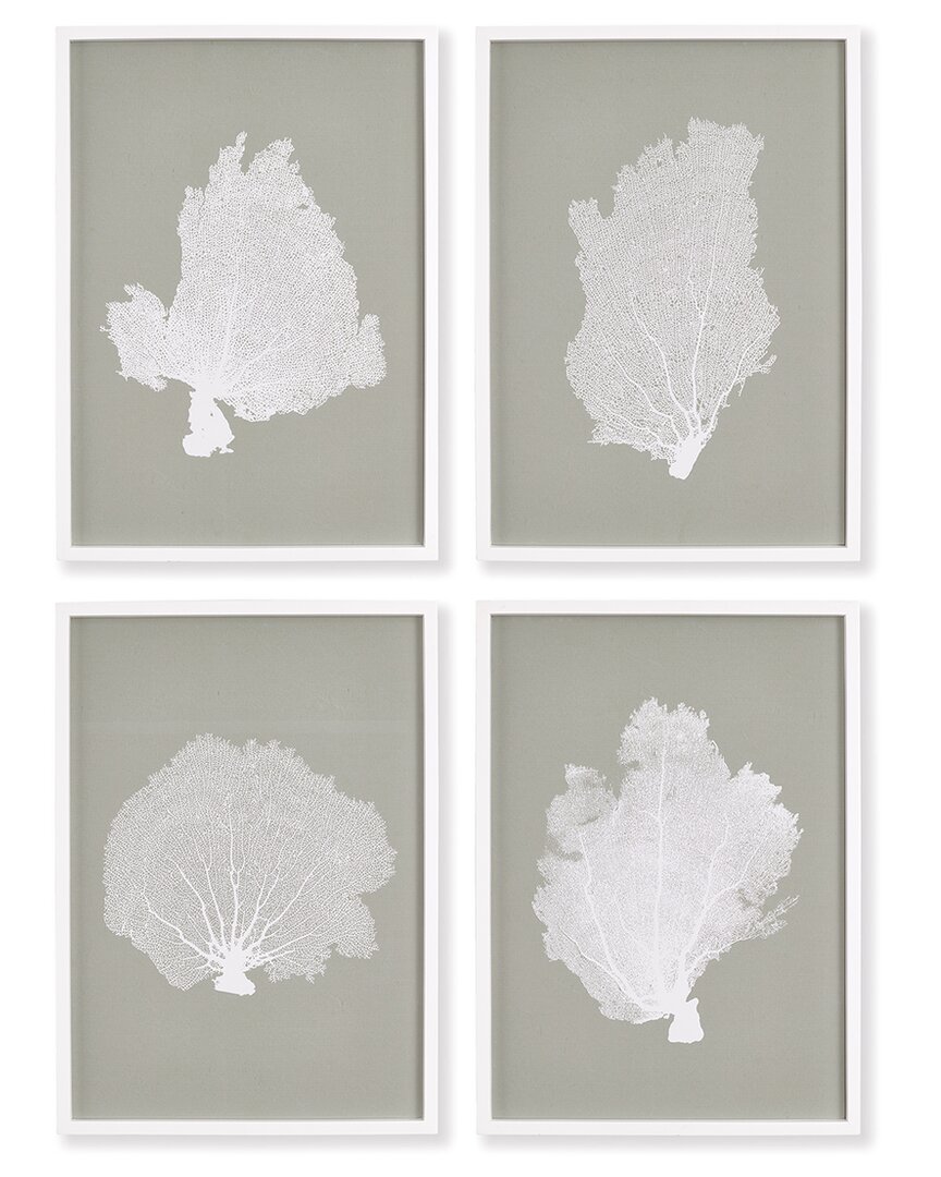 Napa Home & Garden Set Of 4 Coral Fans Study Prints