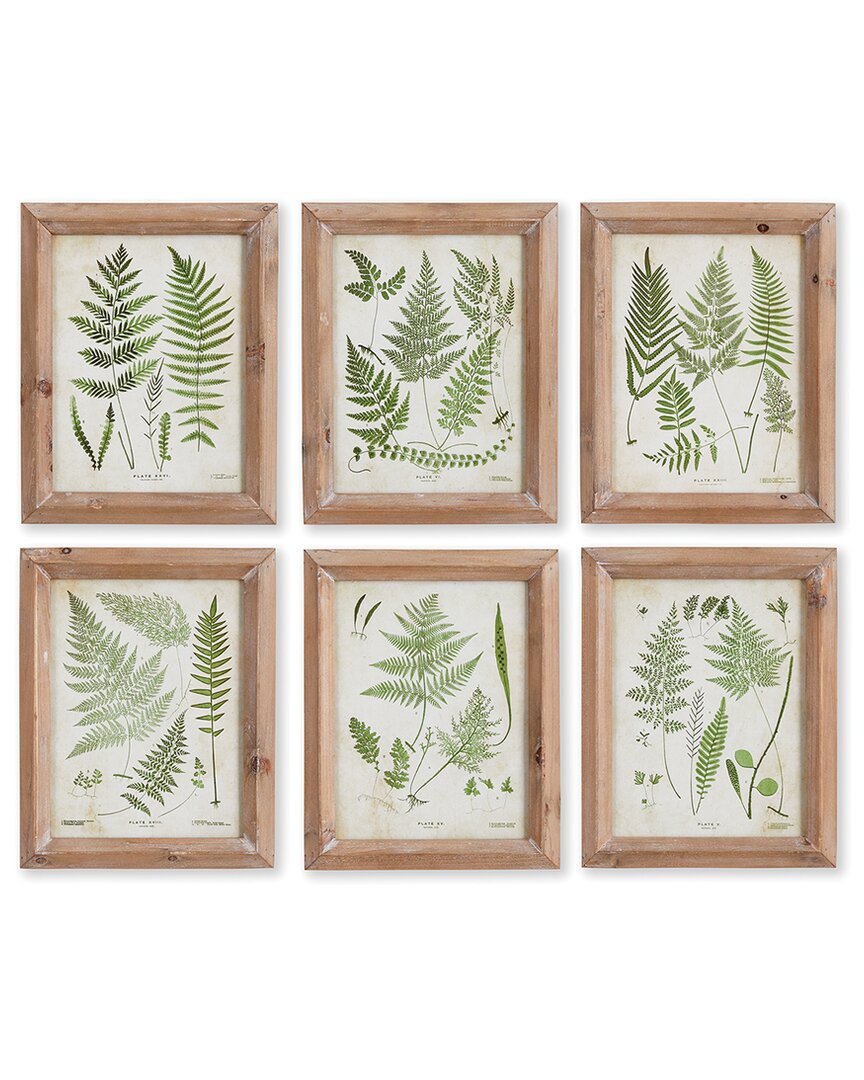 Napa Home & Garden Assorted Frond Study Petite Prints