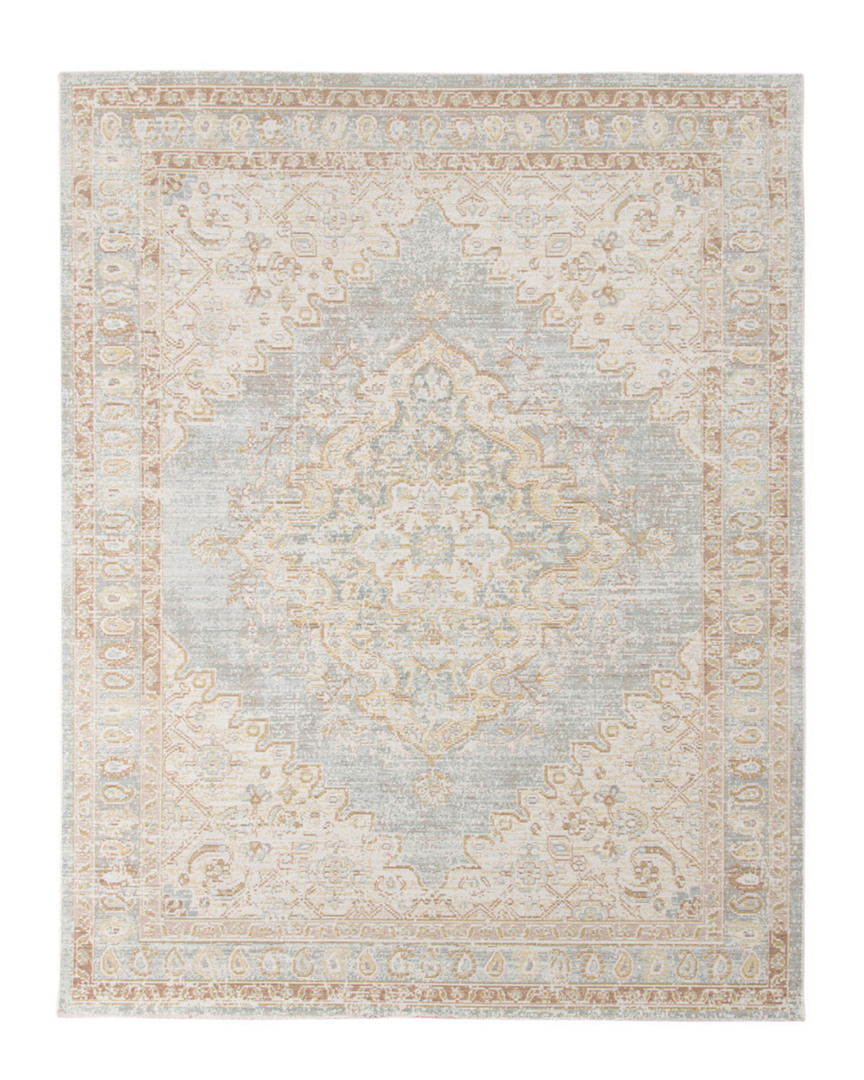 Ar Rugs Century Dina Transitional Rug In Gray