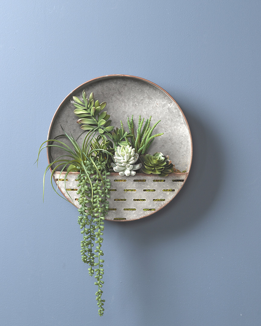 D&w Silks Round Metal Wall Sconce With Assorted Succulents