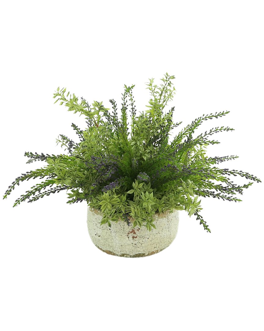 Creative Displays Variegated Tea Leaf & Lavender Cedar Bush In Ceramic Pot In Green
