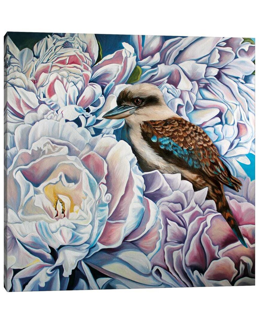 Icanvas Peonies And The Kookaburra Canvas Artwork By Amanda Cameron Wall Art