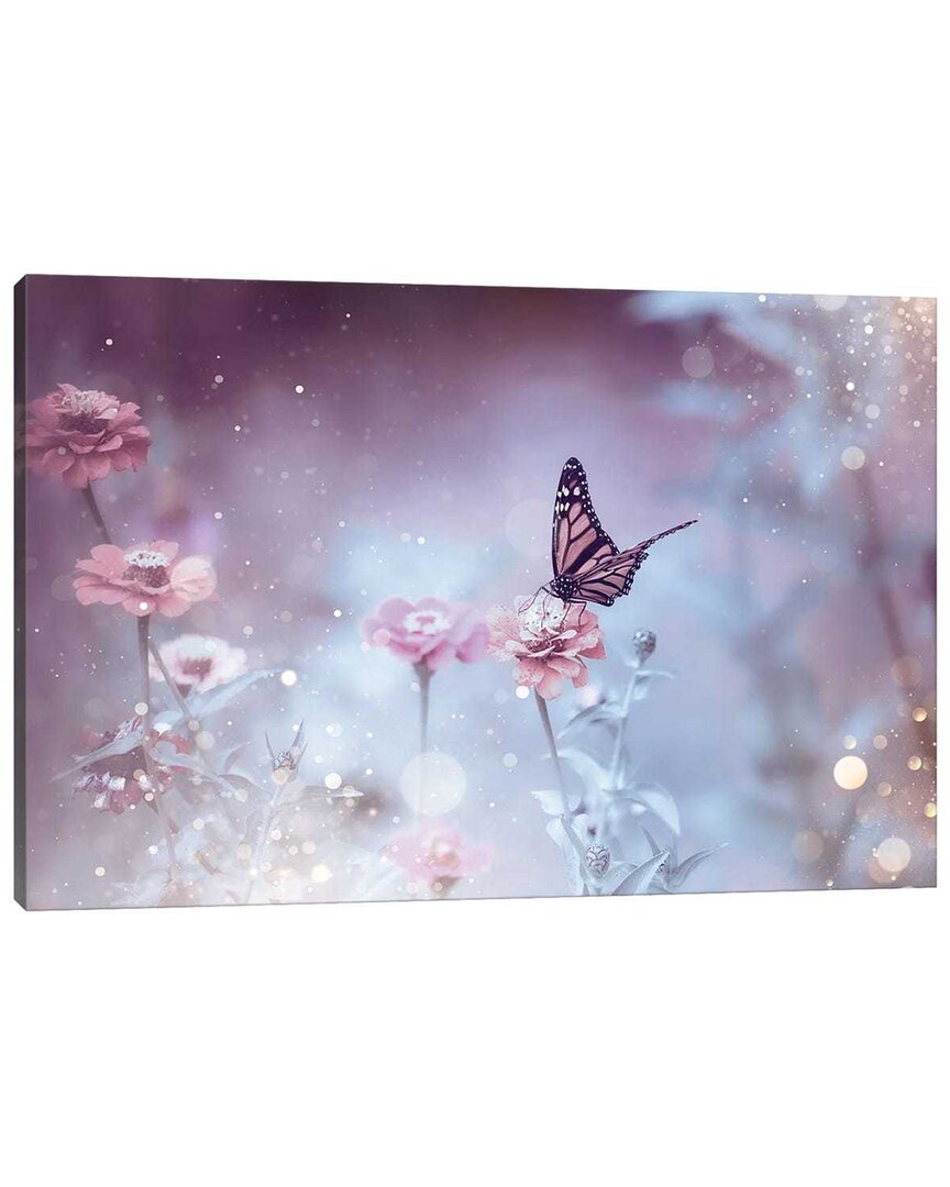 Icanvas Sparkly Butterfly Canvas Artwork By Maria Overlay Wall Art