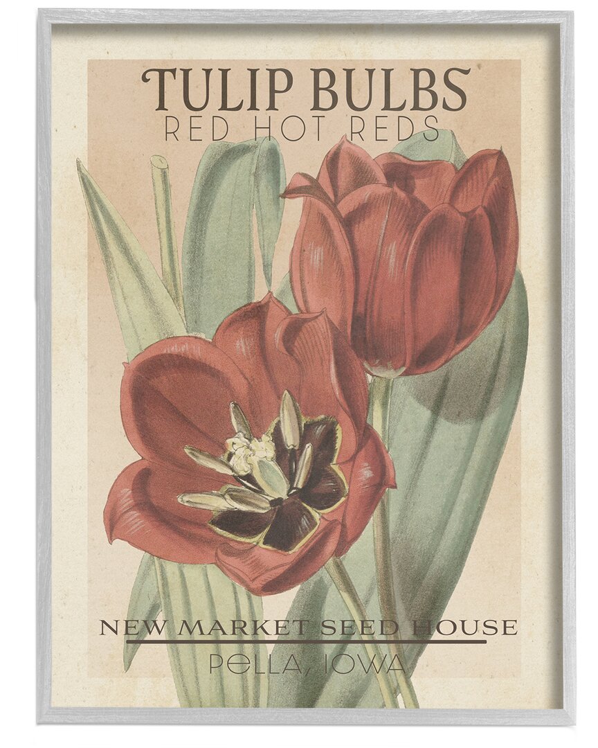 Stupell Hot Red Tulip Bulbs Antique Floral Seed Packet By Studio W Wall Art