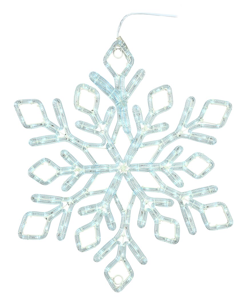 Vickerman 24in Pure White Led Diamond Rope Light Snowflake In Green