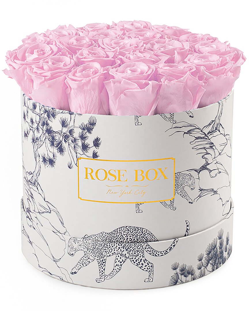 Shop Rose Box Nyc Medium Blue Tiger Box With Light Pink
