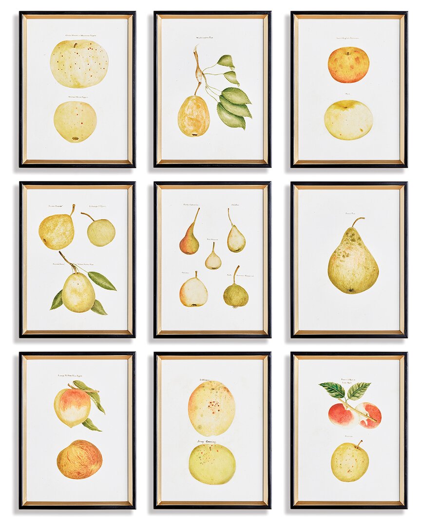 Napa Home & Garden Set Of 9 Assorted Fruits Study In Black