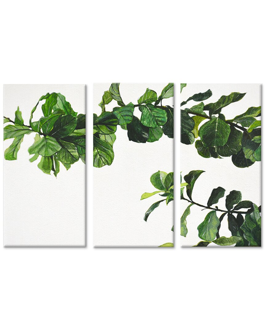 Ready2hangart Chlorophyll Wrapped Canvas Wall Art Set