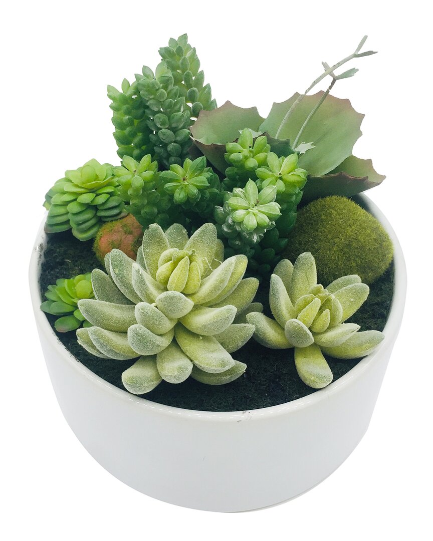 G.t. Direct Corporation Gt Direct 6.7in Faux Succulents In Planter In White