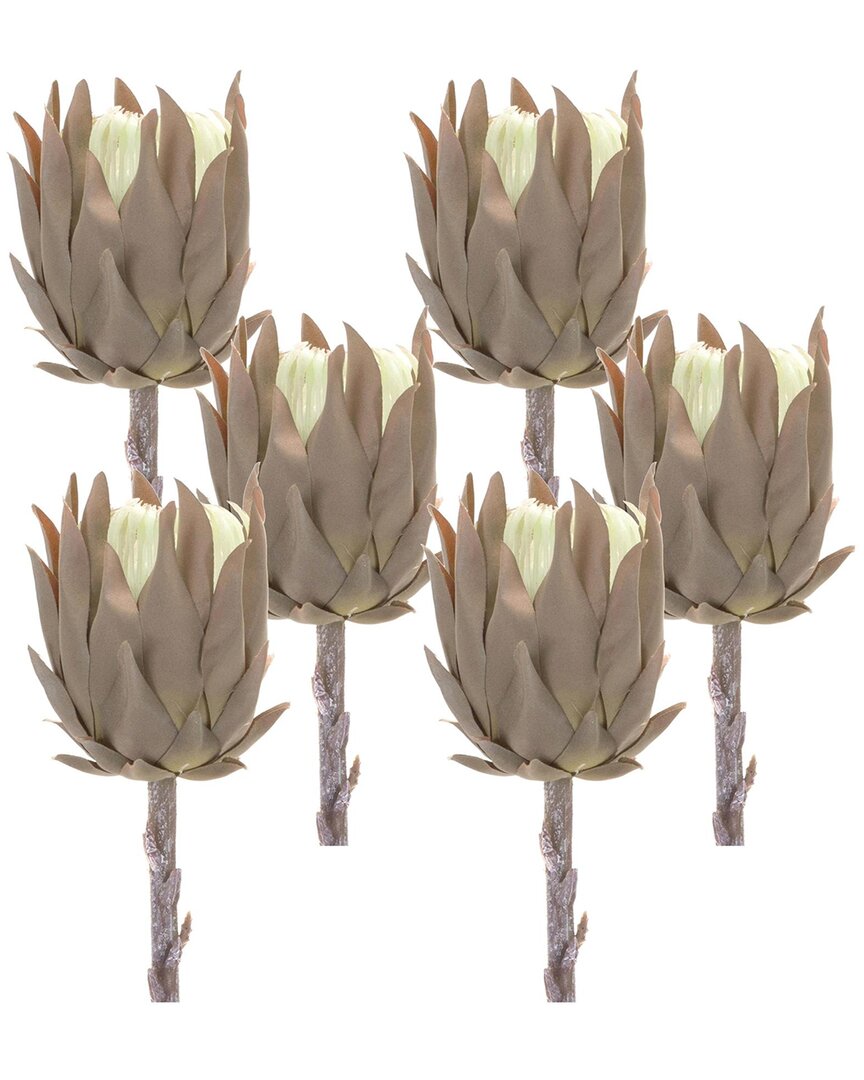 Melrose International Set Of 6 Beige Protea Stem In Brown