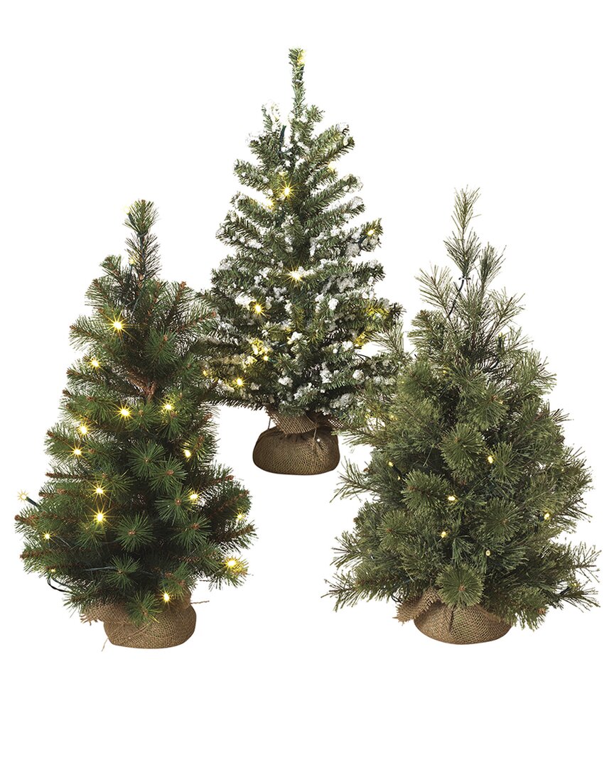 Gerson International Set Of 3 Led-lighted Pine Trees With Burlap Base In Green