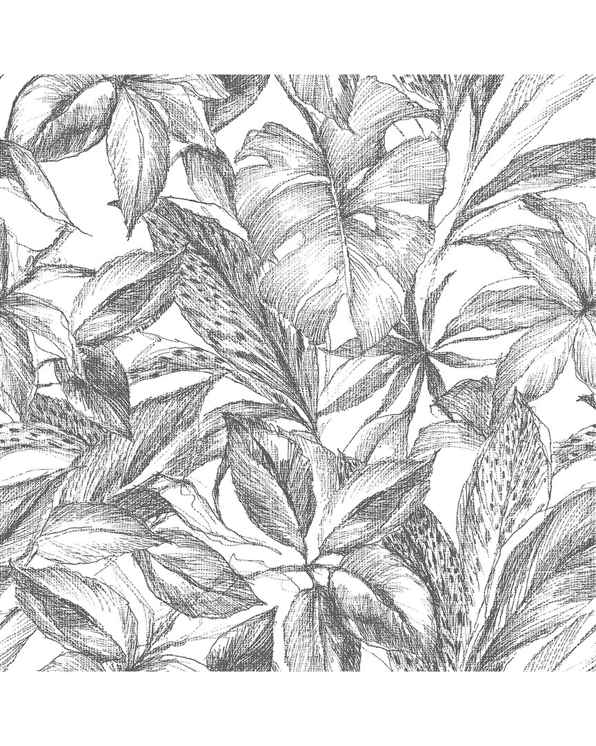 NUWALLPAPER NUWALLPAPER BLACK CANOPY PEEL & STICK WALLPAPER