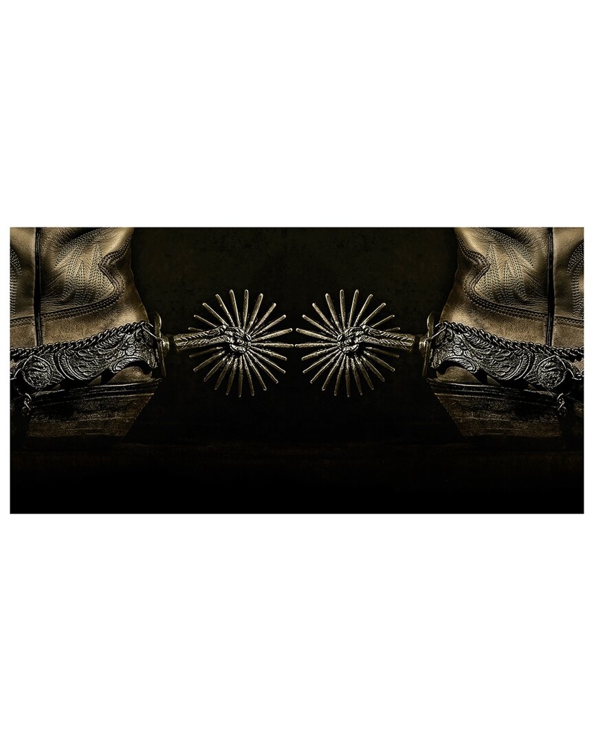 Empire Art Direct Silver Spur Spiral Frameless Free Floating Tempered Glass Panel Graphic Wall Art