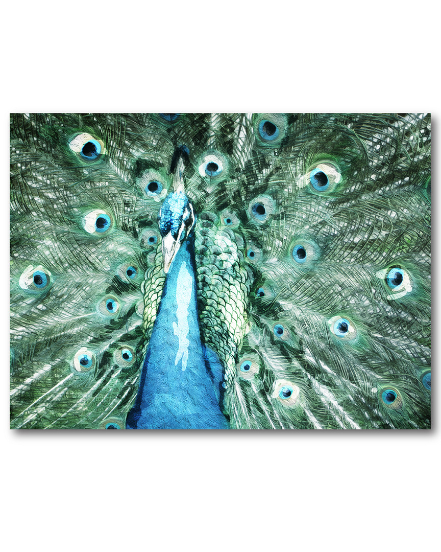 Courtside Market Wall Decor Peacock Flutter Gallery Wrapped Canvas Wall Art