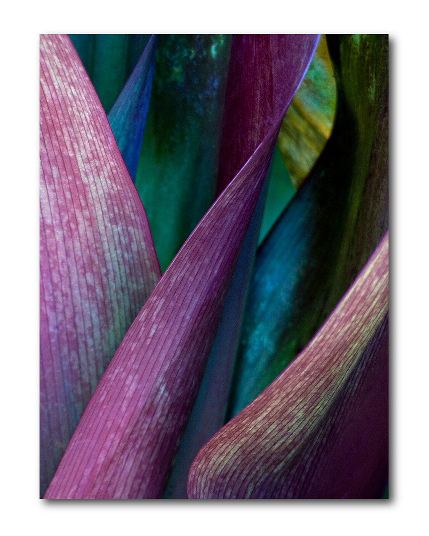 Courtside Market Wall Decor Deep Purple Gallery Wrapped Canvas Wall Art