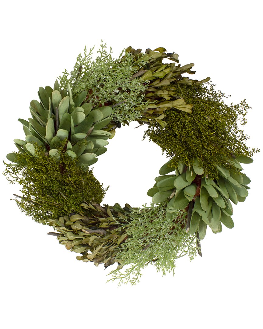 NORTHLIGHT NORTHLIGHT CEDAR SUCCULENT & DAY GRASS ARTIFICIAL WREATH