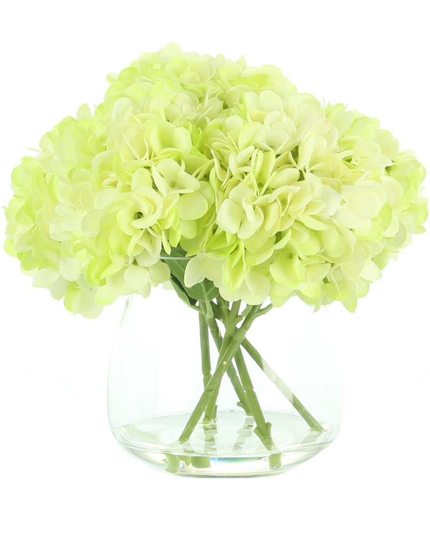 Creative Displays Lime Green Hydrangea In A Clear Glass Vase