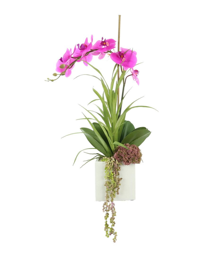 Creative Displays Orchid & Succulent Arrangement In Square Pot In Pink