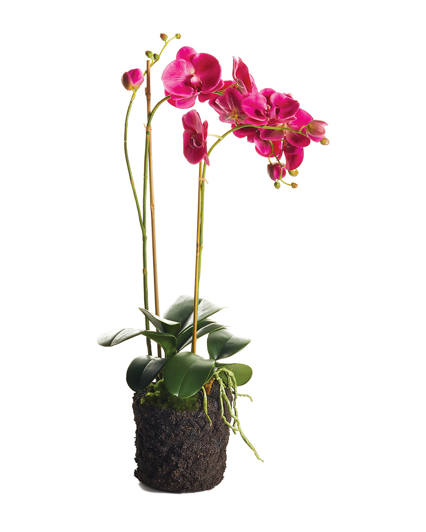 Napa Home & Garden Phalaenopsis Drop-in In Fuchsia