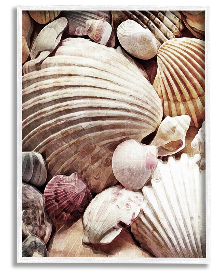 Stupell Various Nautical Clam Conch Shells Framed Giclee Wall Art By Ashley Aldridge