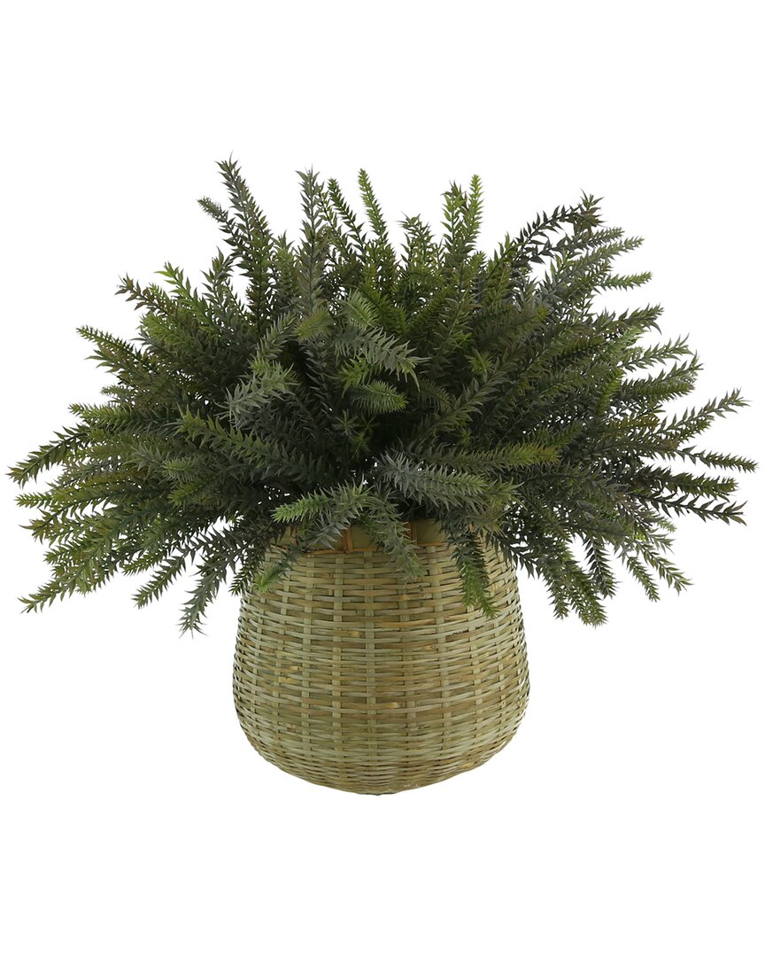 Creative Displays Frosted Gray Fern Arrangement In A Bamboo Wicker Planter In Grey