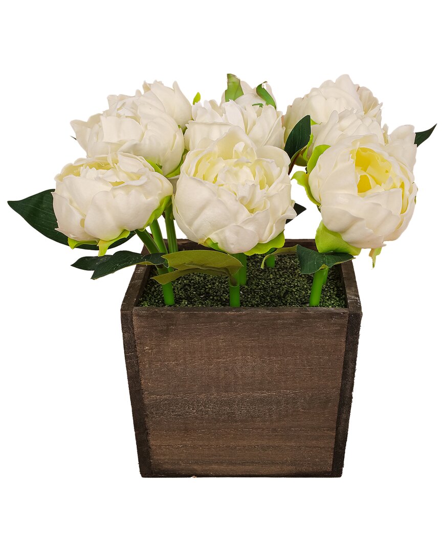 National Tree Company 10in White Peony Flowers In Wood Box In White