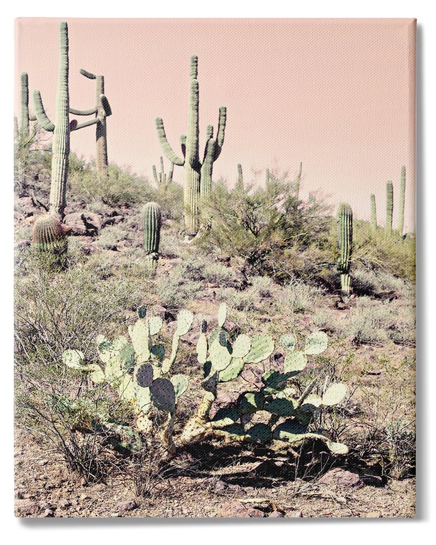 Stupell Industries Summer Dessert Landscape Cactus Prickly Pear Pink Sky Stretched Canvas Wall Art By Susan