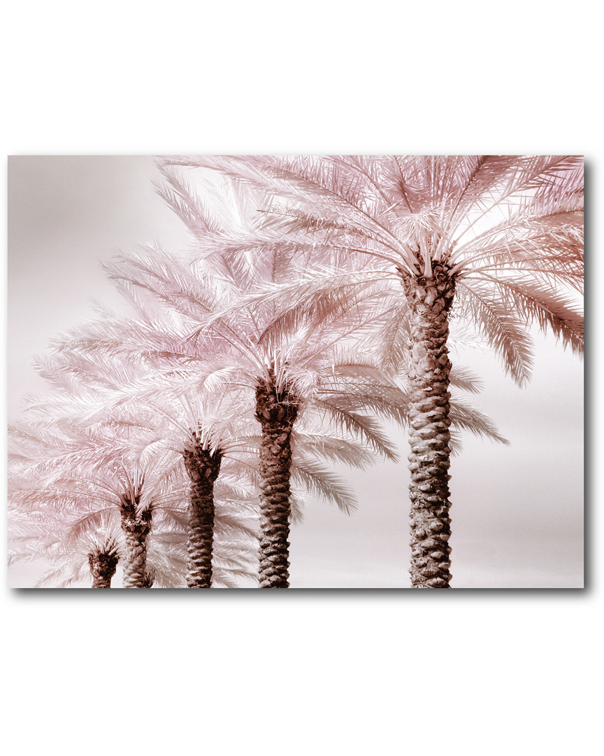 Shop Courtside Market Wall Decor Stately Palms Gallery-wrapped Canvas Wall Art