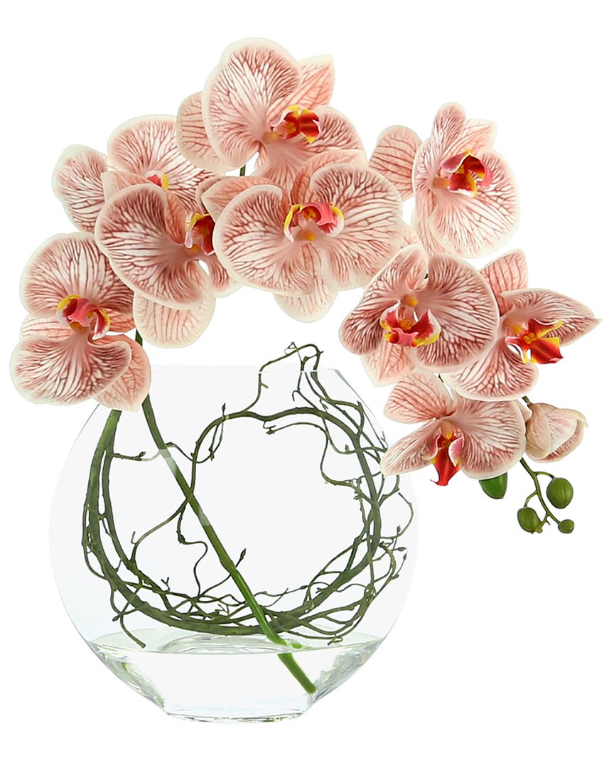 Creative Displays Pink Orchid Floral Arrangement