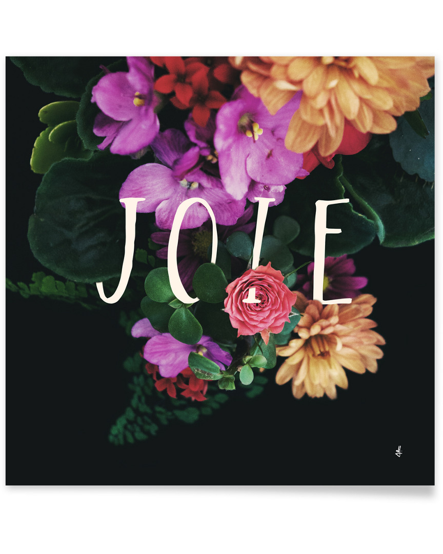 Curioos Joie By Galaxy Eyes