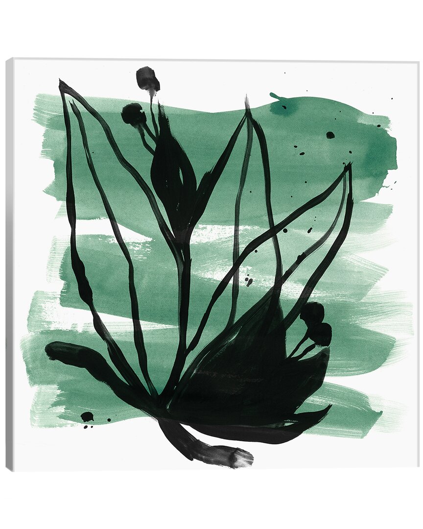 Icanvas By June Erica Vess Wall Art