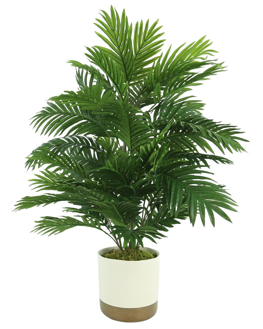 Creative Displays Areca Palm In A White And Gold Ceramic Pot In Green