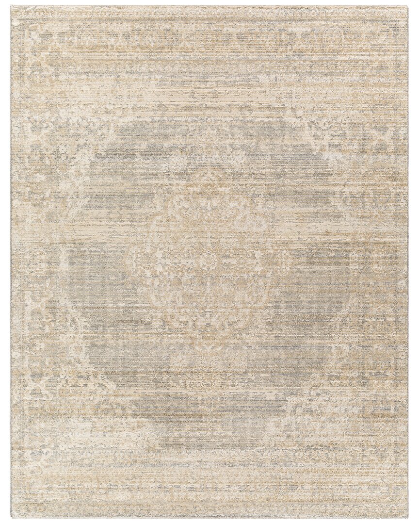 Surya Amore Traditional Rug In Gray