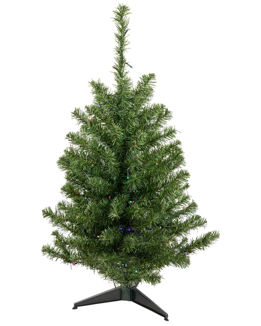 NORTHLIGHT NORTHLIGHT 3FT PRE-LIT LED MEDIUM CANADIAN PINE ARTIFICIAL CHRISTMAS TREE