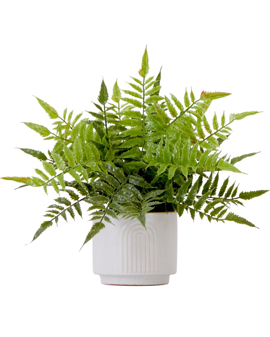 Nearly Natural 13in Artificial Boston Fern Plant With Decorative Planter In Green