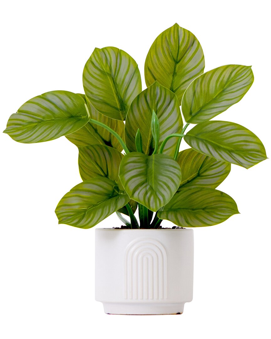 Nearly Natural 12in Artificial Calathea Plant With Decorative Planter In Green