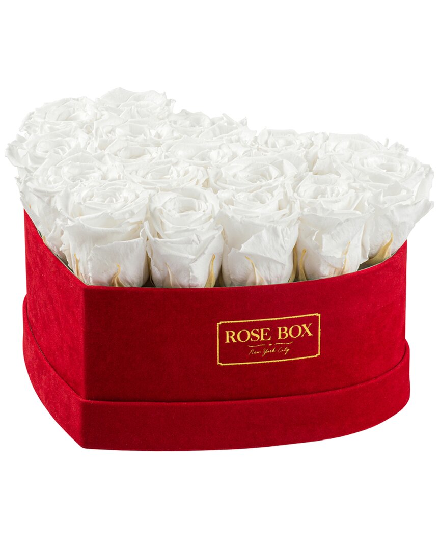 Shop Rose Box Nyc Medium Velvet Heart Box With Pure White Roses In Red