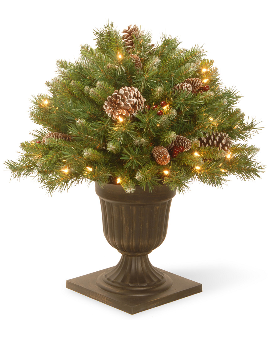 National Tree Company 24in Frosted Berry Porch Bush With Cones & Red Berries