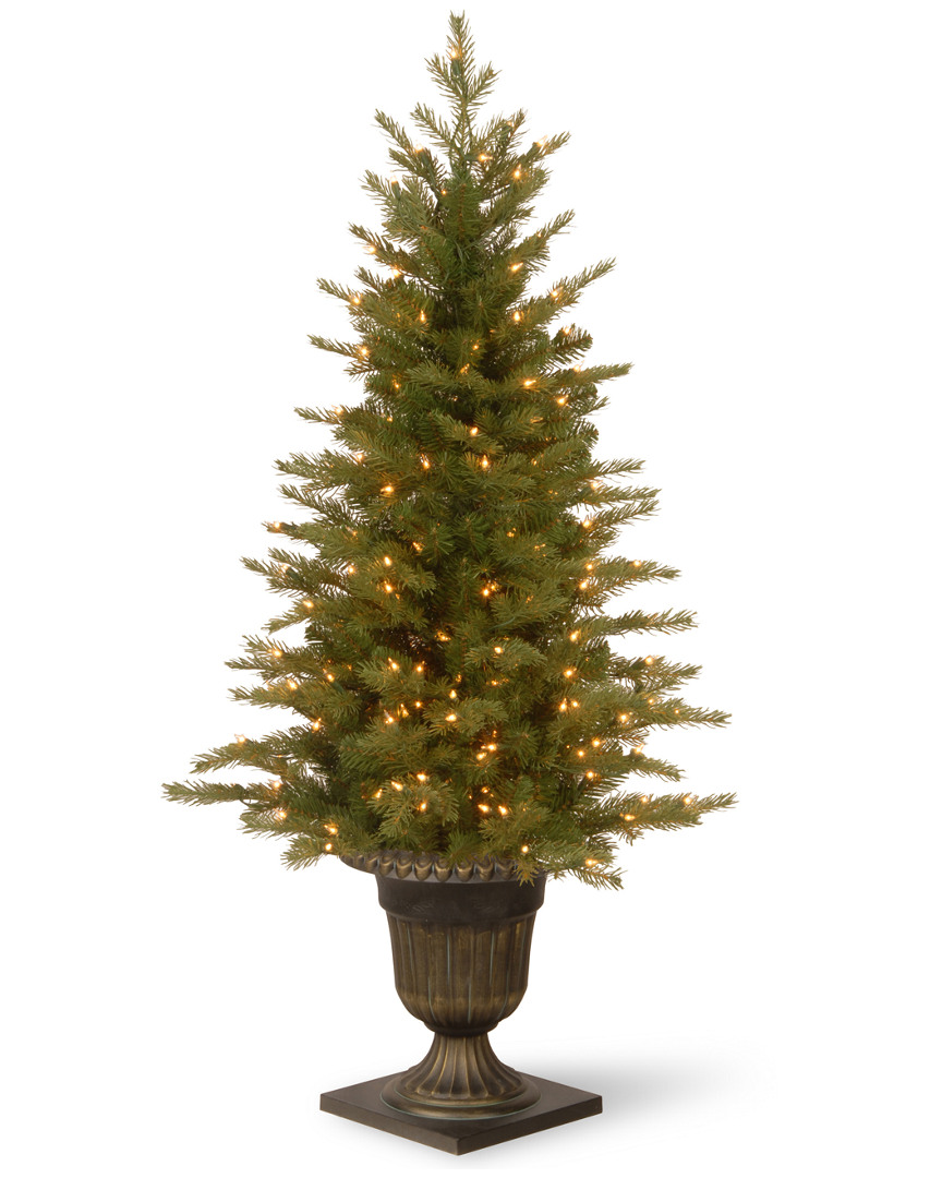 National Tree Company 4ft Feel Real Nordic Spruce Entrance Tree